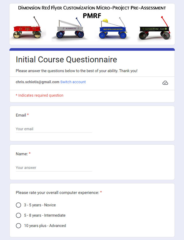 Screenshot of the Google 'Pre-activity assessment' form